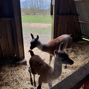  Agroturismo Farm Dinamarca